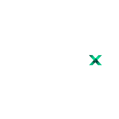 WebsiteX